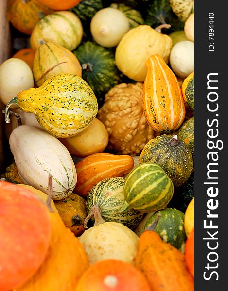 Background From Small Pumpkins