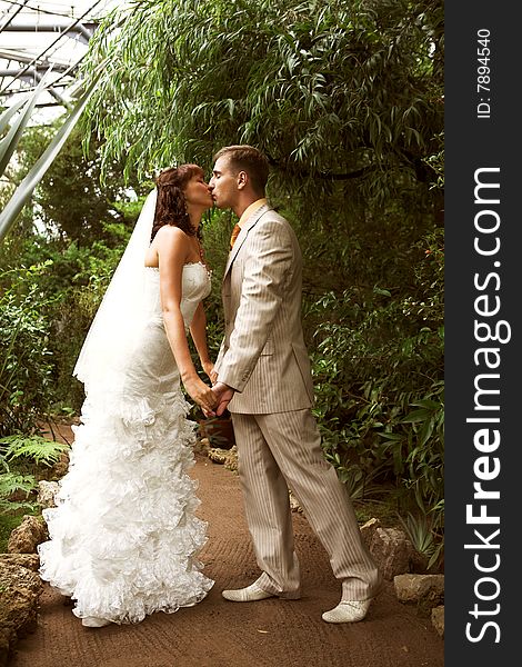 The newlyweds walking in park after the wedding. The newlyweds walking in park after the wedding