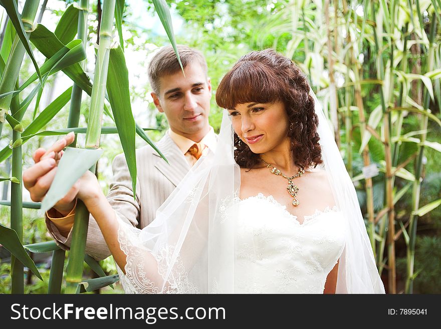 The newlyweds walking in park after the wedding. The newlyweds walking in park after the wedding