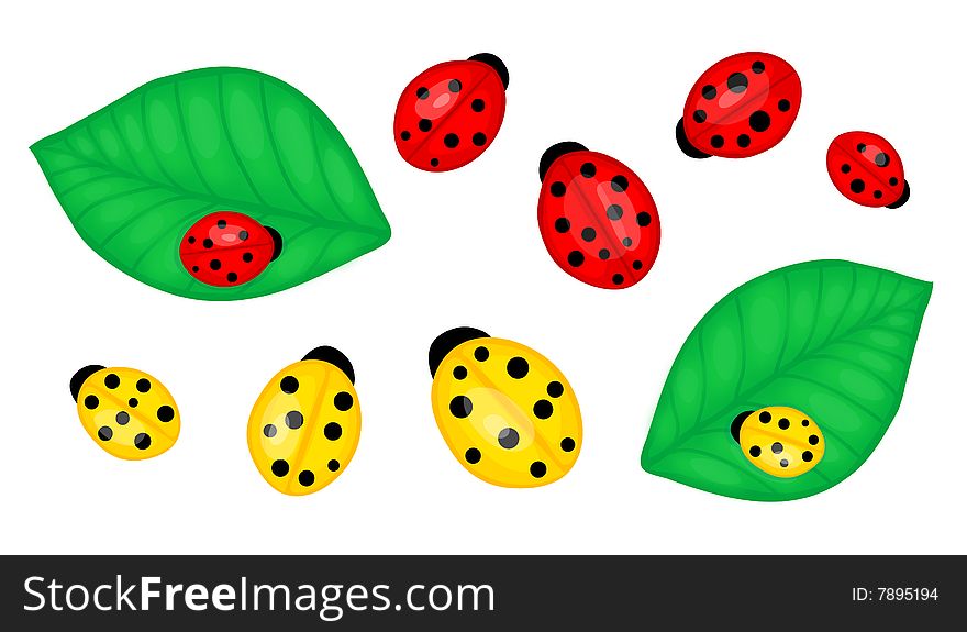 Vector illustration of red and yellow ladybirds