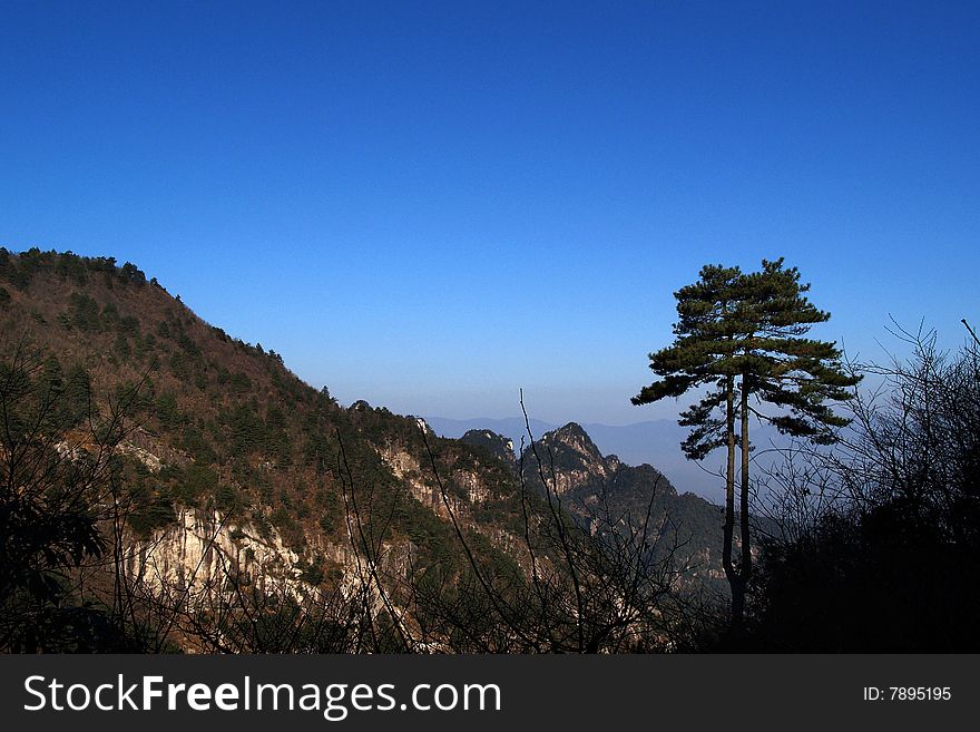 Pine on the hill top, China