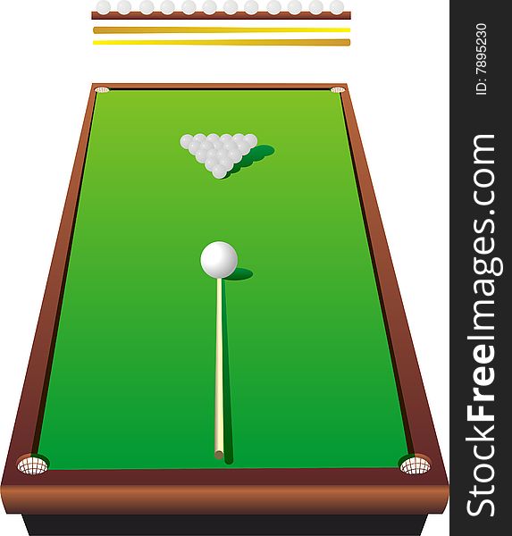 Scene of the billiard table with cue and ball