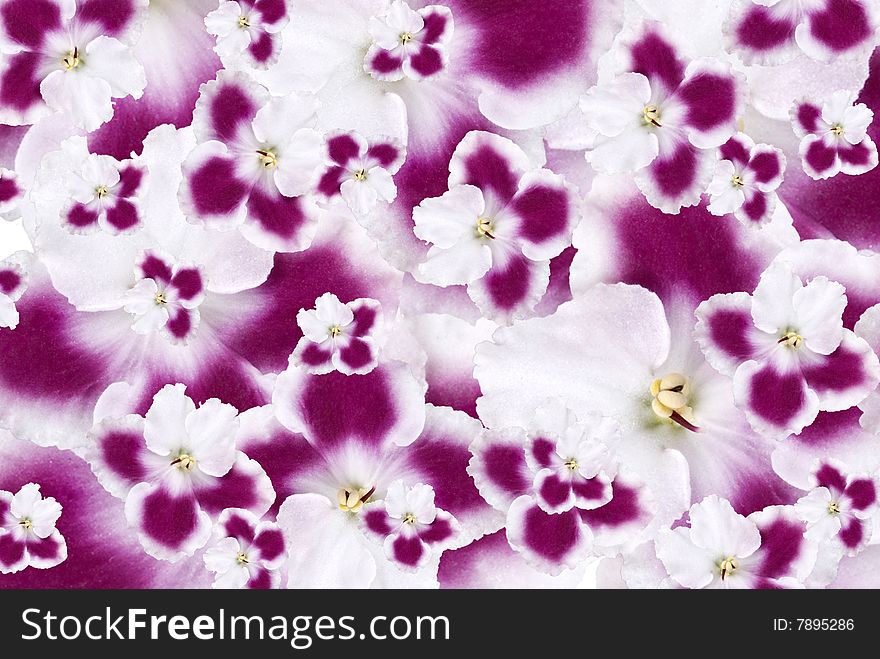 Perfect texture or background for your design. Perfect texture or background for your design
