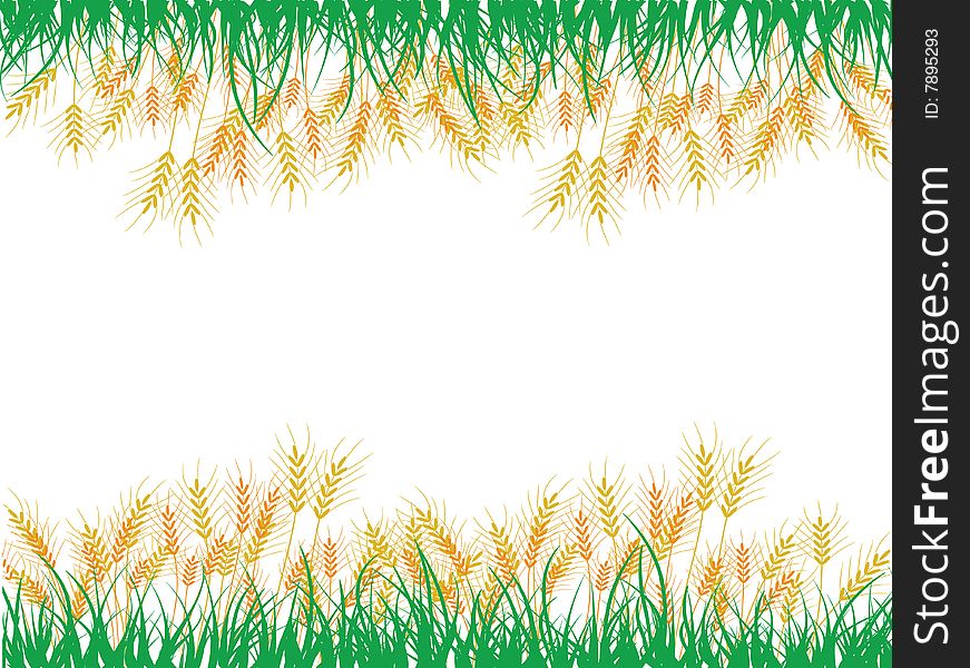 A cool detail of crops and grass designed by illustration. A cool detail of crops and grass designed by illustration