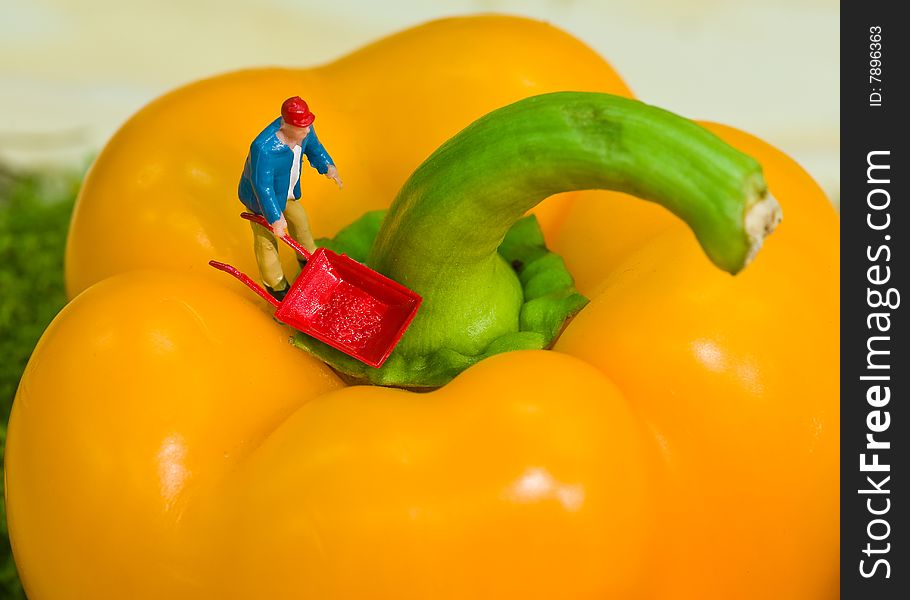 A model workman with a wheelbarrow on a yellow Pepper. A model workman with a wheelbarrow on a yellow Pepper