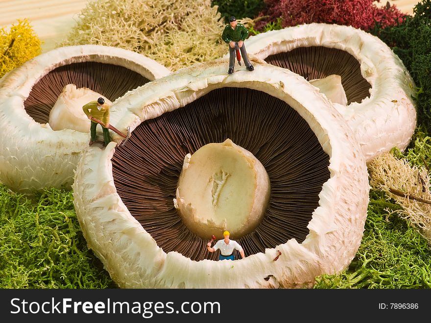 Three model workmen on a mushroom. Three model workmen on a mushroom