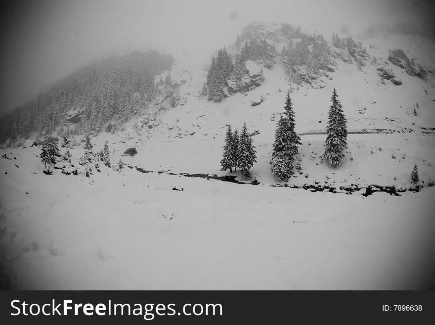 Mountain forest with heavy snow fall. Mountain forest with heavy snow fall