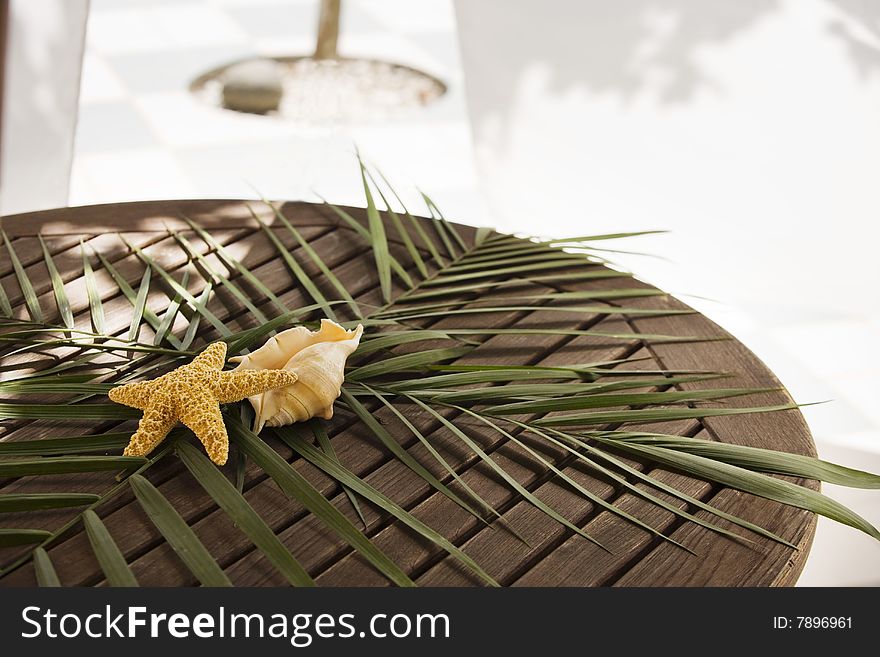 Starfish, shell, and leaf center piece on patio table. Starfish, shell, and leaf center piece on patio table.