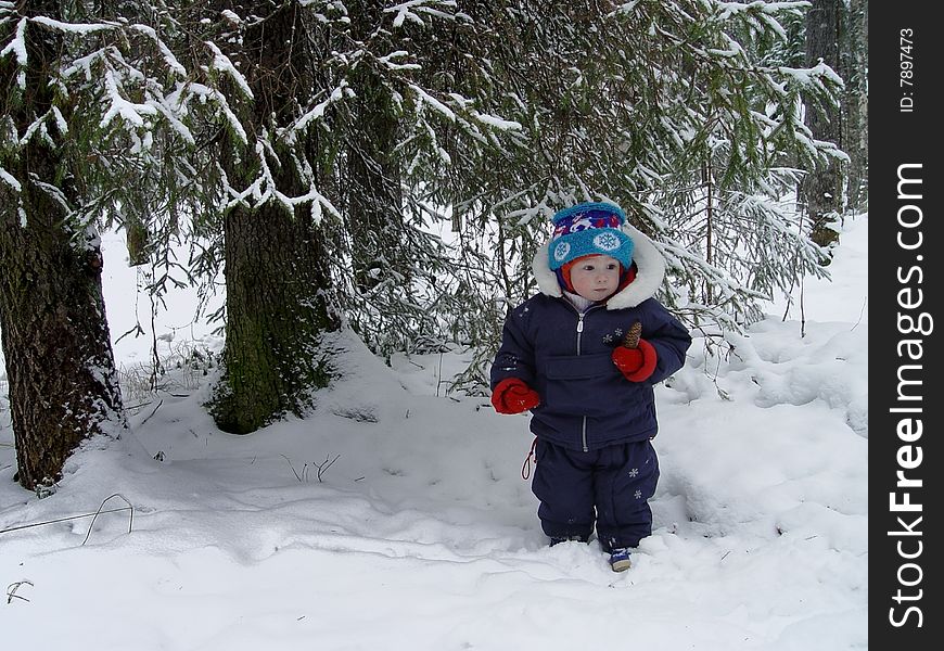 The child under a fur-tree in a winter wood