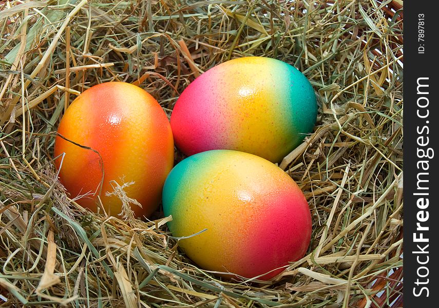 Colored Easter eggs in the nest isolated.