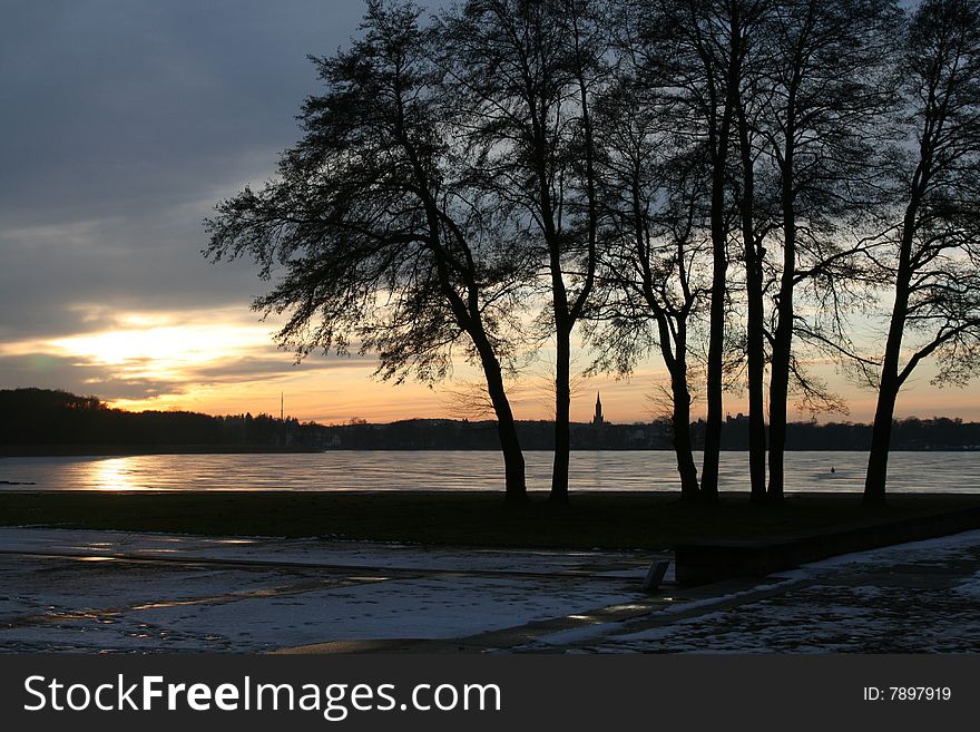 Trees near a frozen lake during sunset in winter. Trees near a frozen lake during sunset in winter