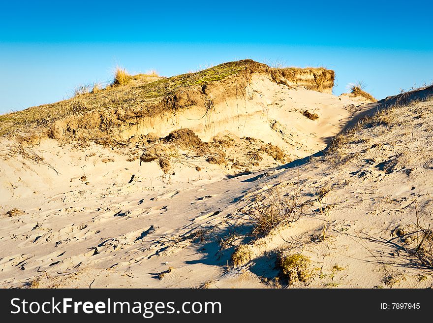Winter dune landscape. North Sea coastline, The Netherlands. Winter dune landscape. North Sea coastline, The Netherlands