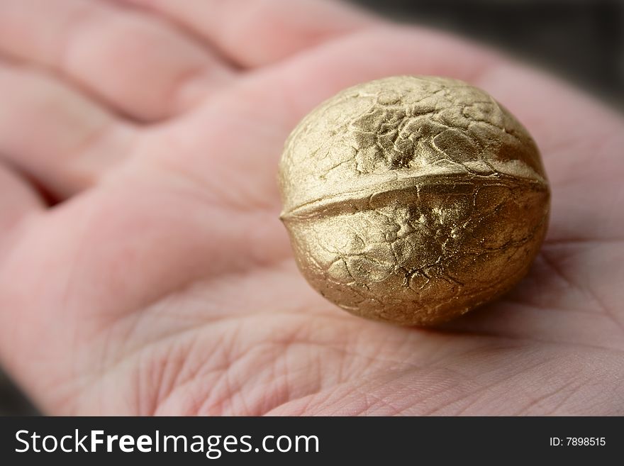 Single golden walnut on woman hand. Single golden walnut on woman hand