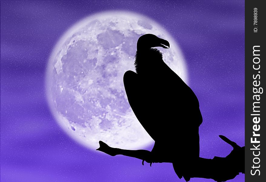 Eagle silhouette in the moon and in the night. Eagle silhouette in the moon and in the night