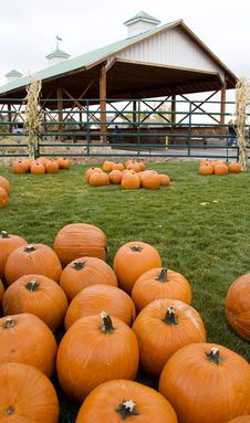 Pumpkins And Covered Bridge Stock Photo Pumpkins And Covered Bridge Stock Photo