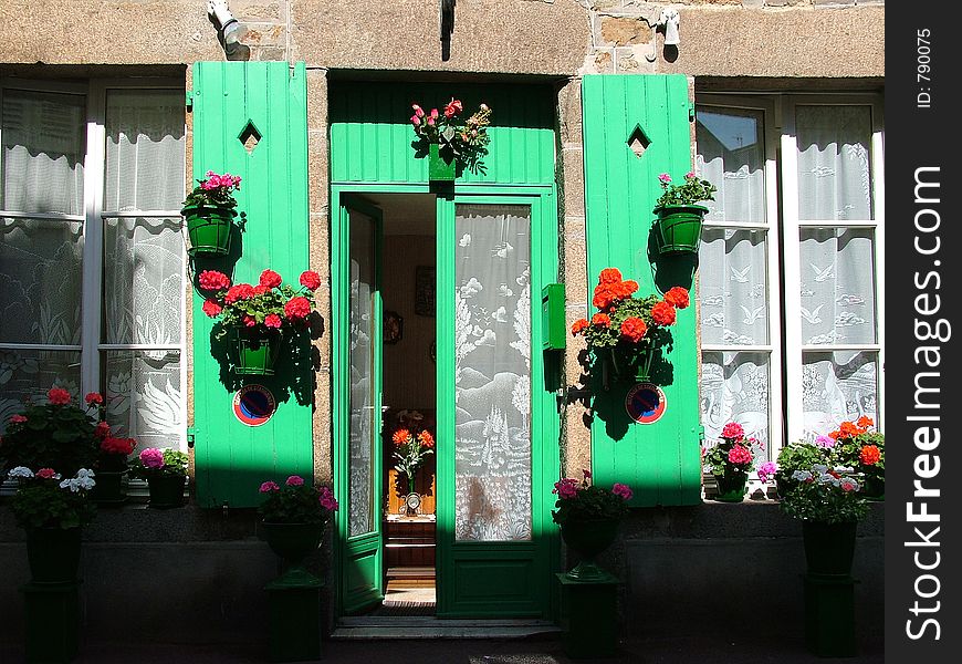 Windows,flowers,home, house. Windows,flowers,home, house