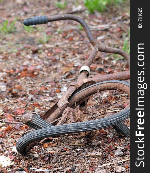 Rusty bicycle on dry leaves