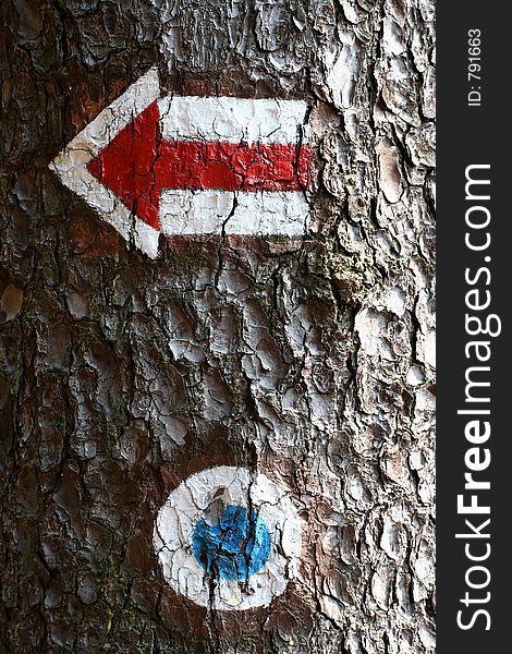 Red left arrof and blue circle paited on a tree. Red left arrof and blue circle paited on a tree