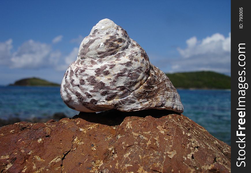 A shell lays atop a boulder with the island paradise of Puerto Rico, Culebrita in the background. A shell lays atop a boulder with the island paradise of Puerto Rico, Culebrita in the background
