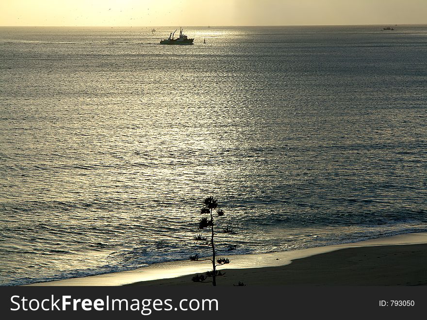 Boats fishing and beach