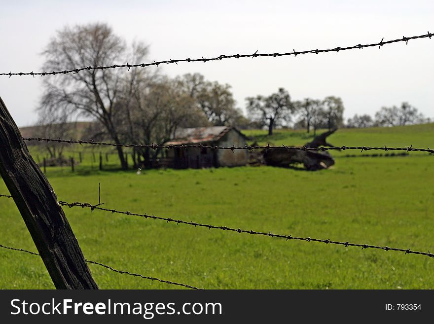 Barb Wire and Barn