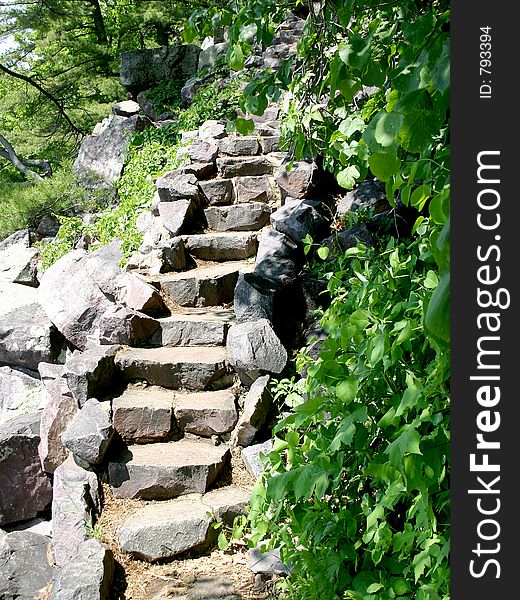 Stone stairway with greenery around it