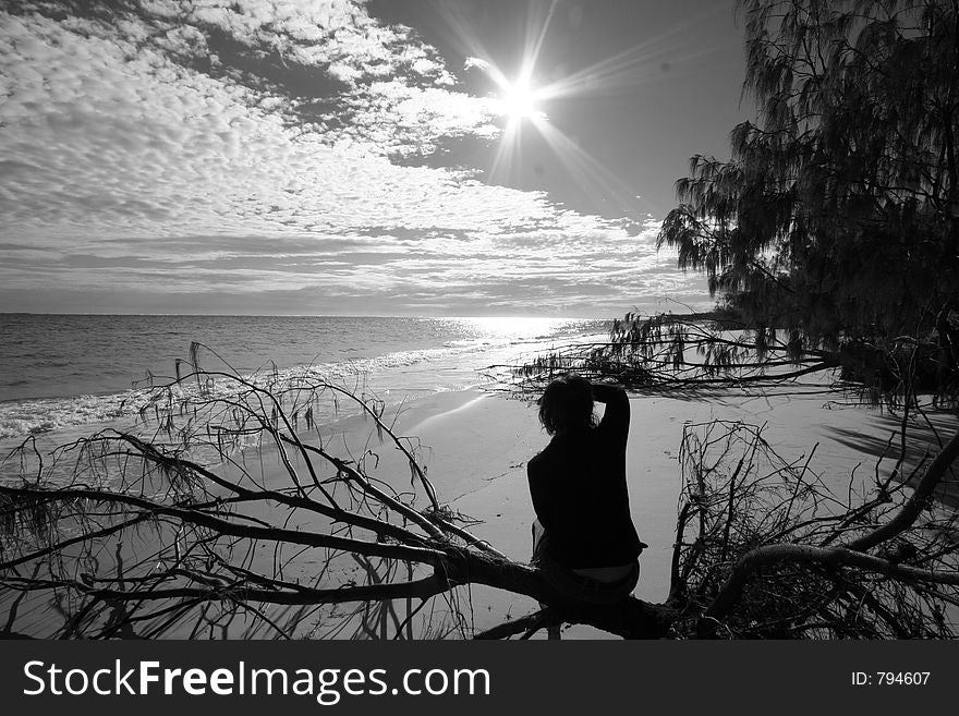 A photo of my beautiful mother, sitting on driftwood washed ashore on the beach, looking at the rising sun. Location: Stradbroke Island, Queensland, Australia. Photographer: Crystal Venus.