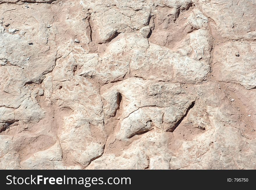 Tracks left in river bed by Dinosaurs. Tracks left in river bed by Dinosaurs