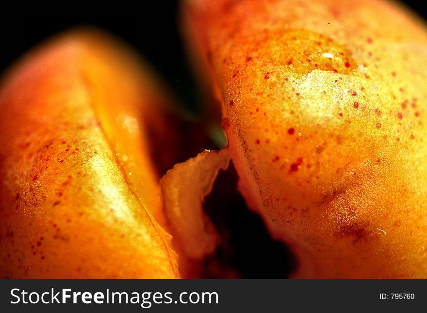 Close-up of the fruit. Close-up of the fruit