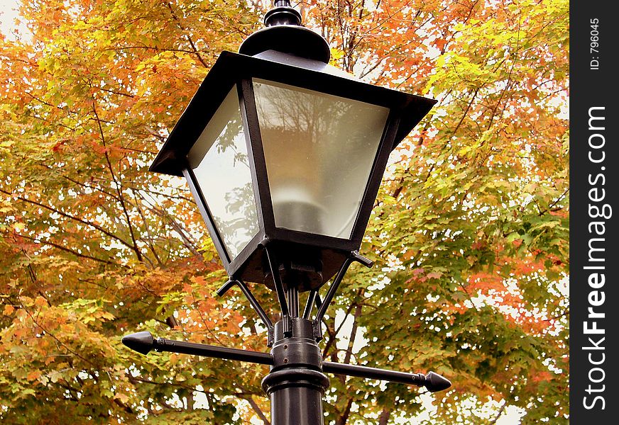 Lamp with Autumn background