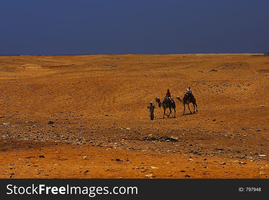 Aboard a camel through the desert