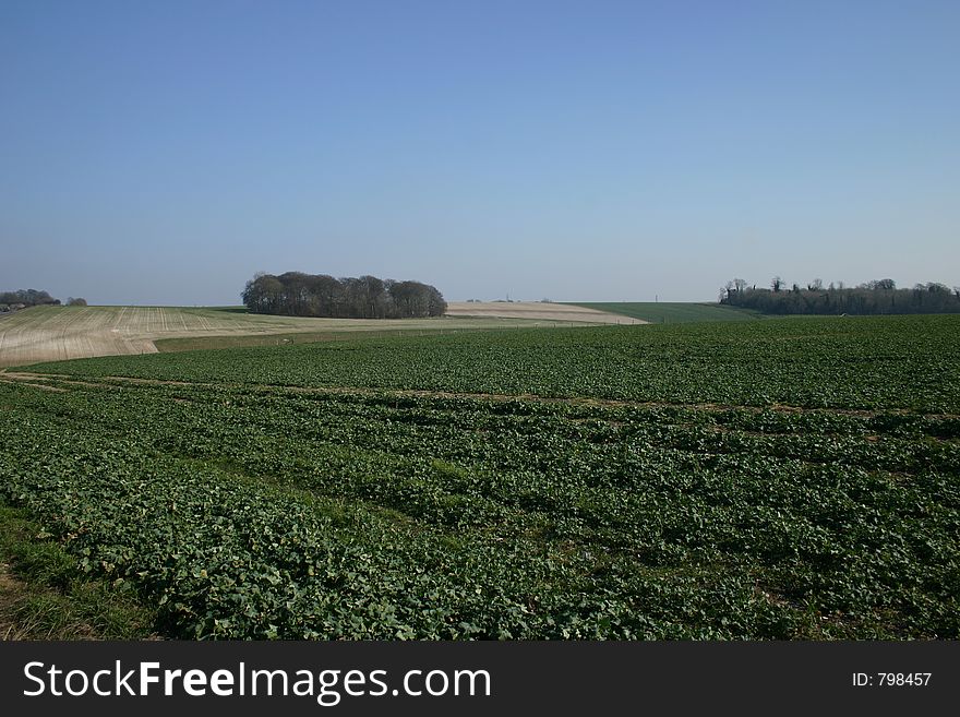 Blue Sky and Green Fields. Blue Sky and Green Fields