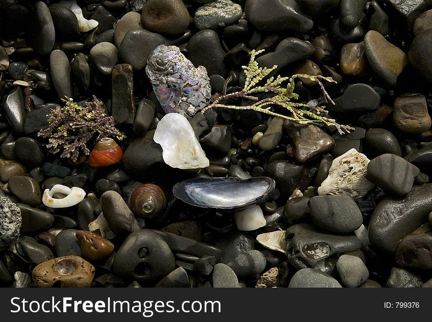 Colorful rocks, shells and sea weed drying on the beach in California make for a wonderful background of color and pattern. Colorful rocks, shells and sea weed drying on the beach in California make for a wonderful background of color and pattern.