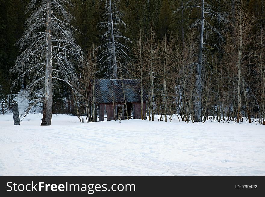 An old abandon cabin that sites in the High Sierra, surrounded by aspen. This cabin sits between Truckee and Lake Tahoe in California. An old abandon cabin that sites in the High Sierra, surrounded by aspen. This cabin sits between Truckee and Lake Tahoe in California.