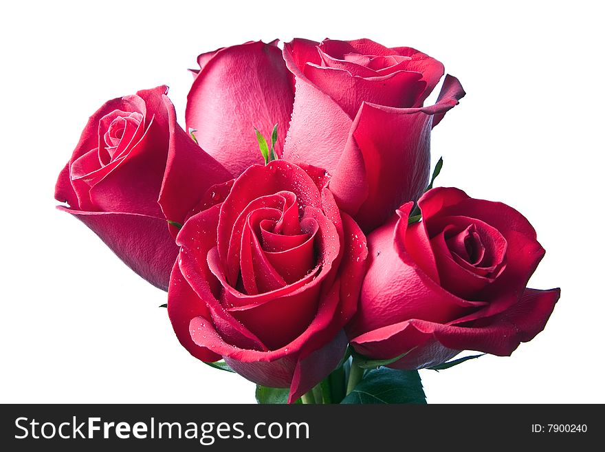 Bouquet From Five Red Roses On A White Background