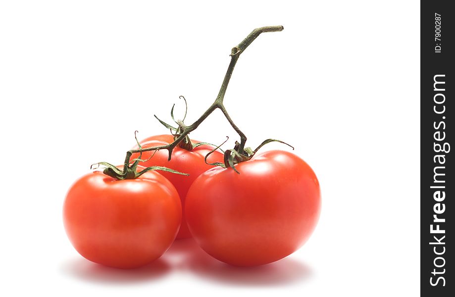 Three tomatoes with stalk isolated on a white background