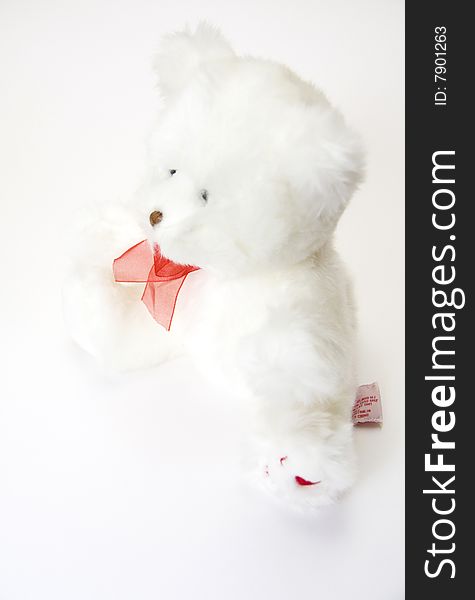 Teddy Bear against the Light Background