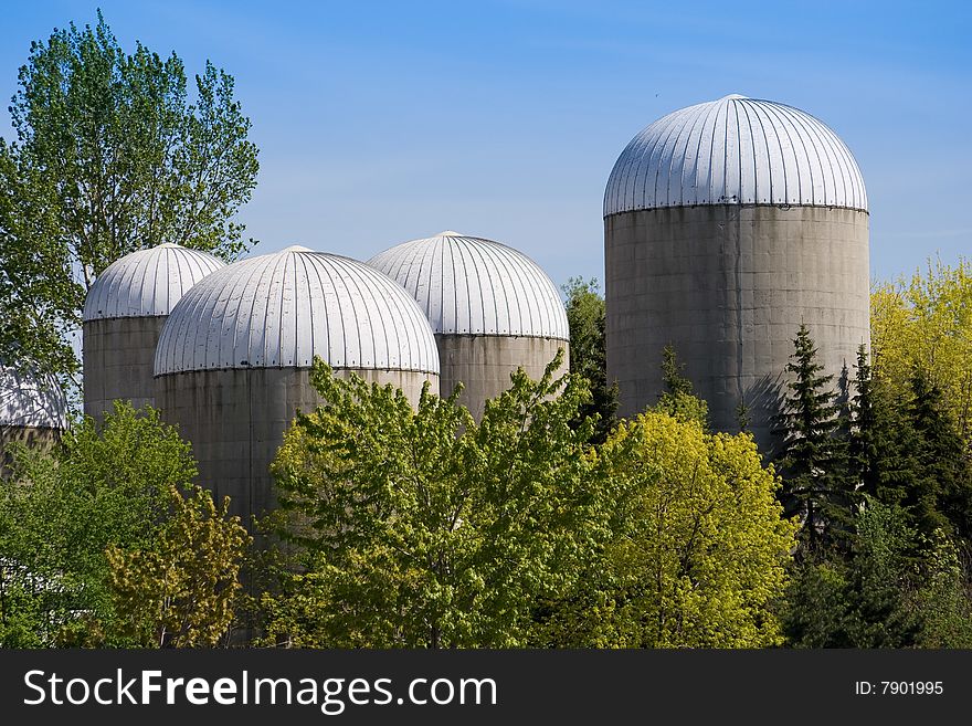 Group of agricultural urban futuristic style towers at the Ontario island. Group of agricultural urban futuristic style towers at the Ontario island