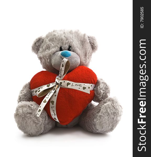 Gray bear with heart in the hands on white background