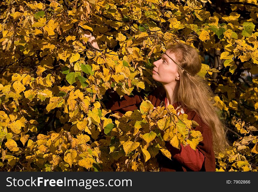 The blonde girl in medieval red dress in the autumn forest. The blonde girl in medieval red dress in the autumn forest