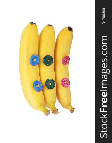 Three bananas standing  in line. Three bananas standing  in line