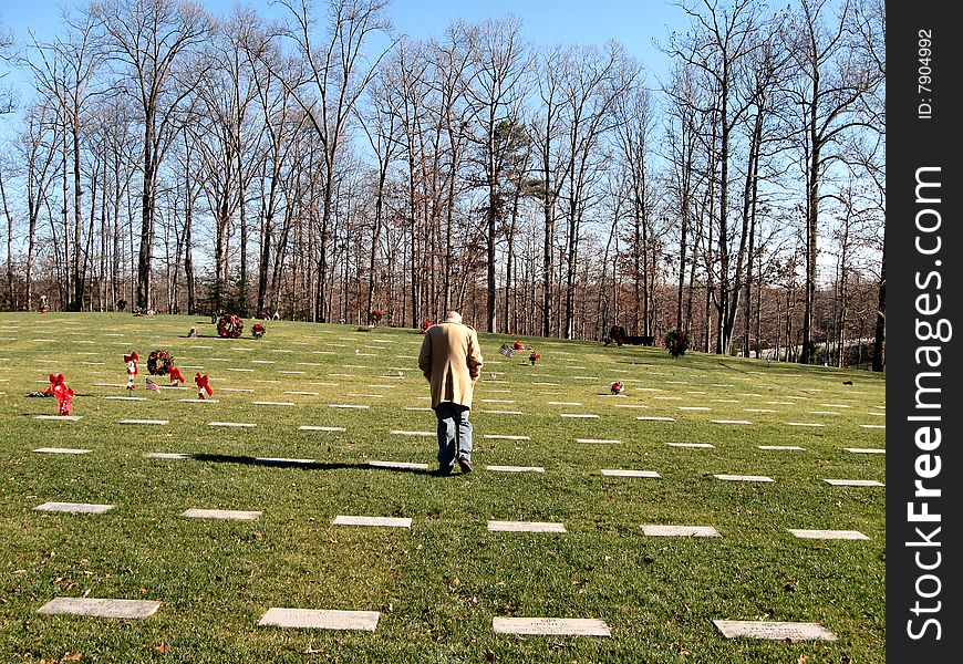 Older man visits a national cemetery at Christmas. Older man visits a national cemetery at Christmas