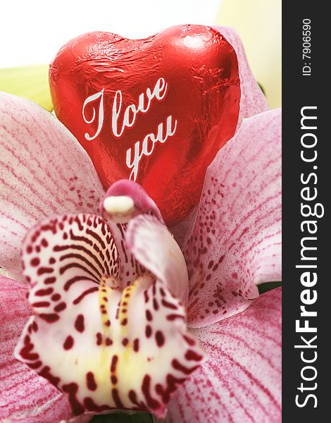 Valentine Heart with orchid for valentine´s day.