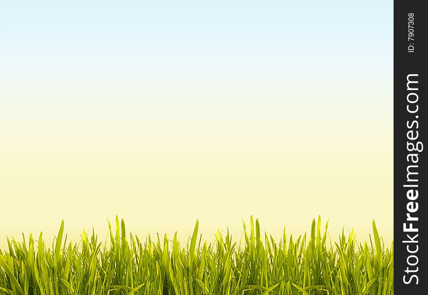 Solar meadow with a green juicy grass. Horizontal background