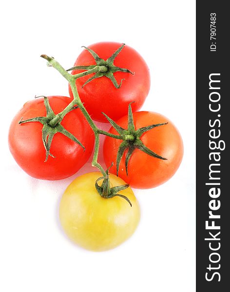 Branch of four fresh juicy tomatoes isolated on white. Branch of four fresh juicy tomatoes isolated on white