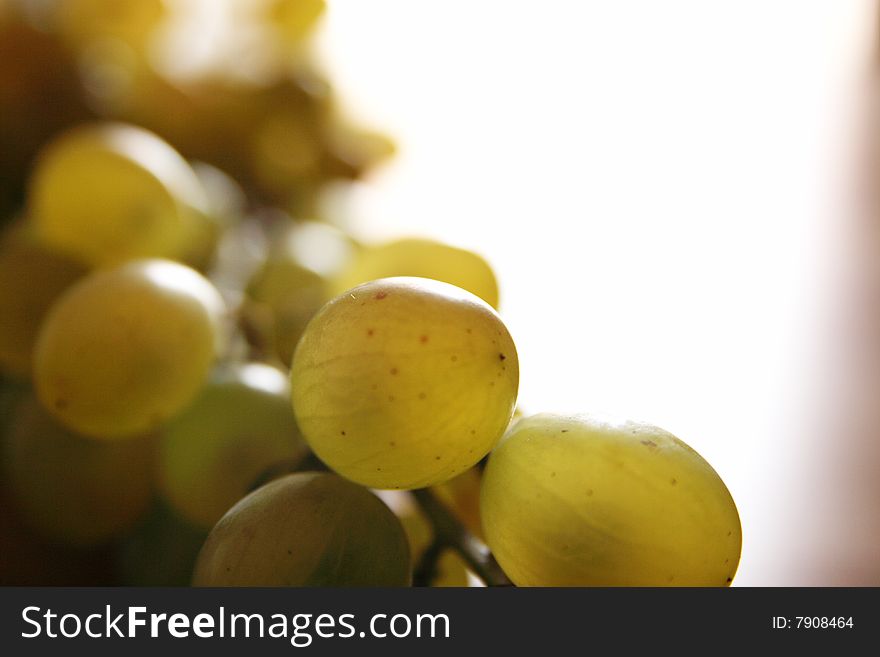 Grape on the wood table