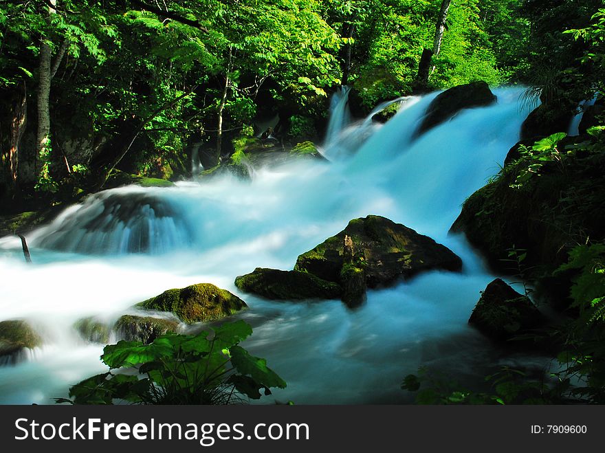 Majestic waterfall thundering onto rocks at Oirase stream, Aomori, Japan