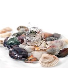 Water Splash With Various Color Shells Stock Images