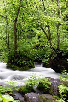 Oirase-gawa River Royalty Free Stock Images Oirase-gawa River Royalty Free Stock Images