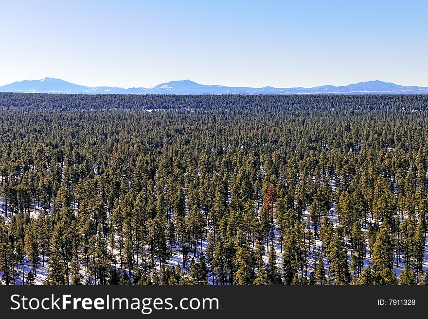 Looking south from the South rim of the Grand Canyon in northern Arizona, aerial. Looking south from the South rim of the Grand Canyon in northern Arizona, aerial